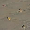 Holiday Photo Collection