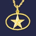 IPY Logo Pendant or Pin