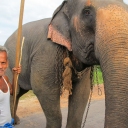 IP38 Estrellita: KL-Indonesia-Srilanka-Sailing