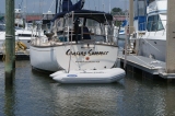 chasingsummer's Avatar