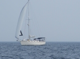 Northport's Avatar