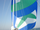 Asym Spinnaker - IP40