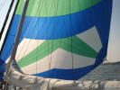 Asym Spinnaker - IP40