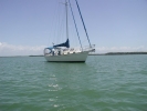 ISLAND PACKET 40, 1997 HULL 91 "HAPPY SAILS" FOR SALE