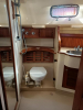 IPY380 PENGUIN V  for sale in the Med.