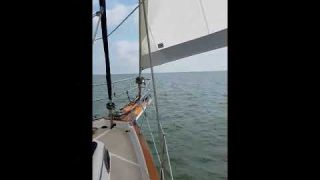 mobjack sail